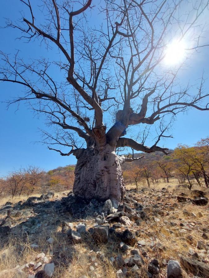 奥普沃乡村山林小屋 Opuwo 外观 照片